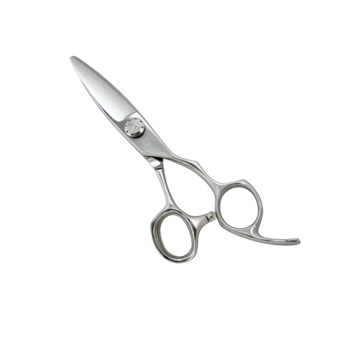 ST Ultra-Smooth Sliding Scissors 1